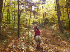 USA-Vermont-Green Mountain Getaway